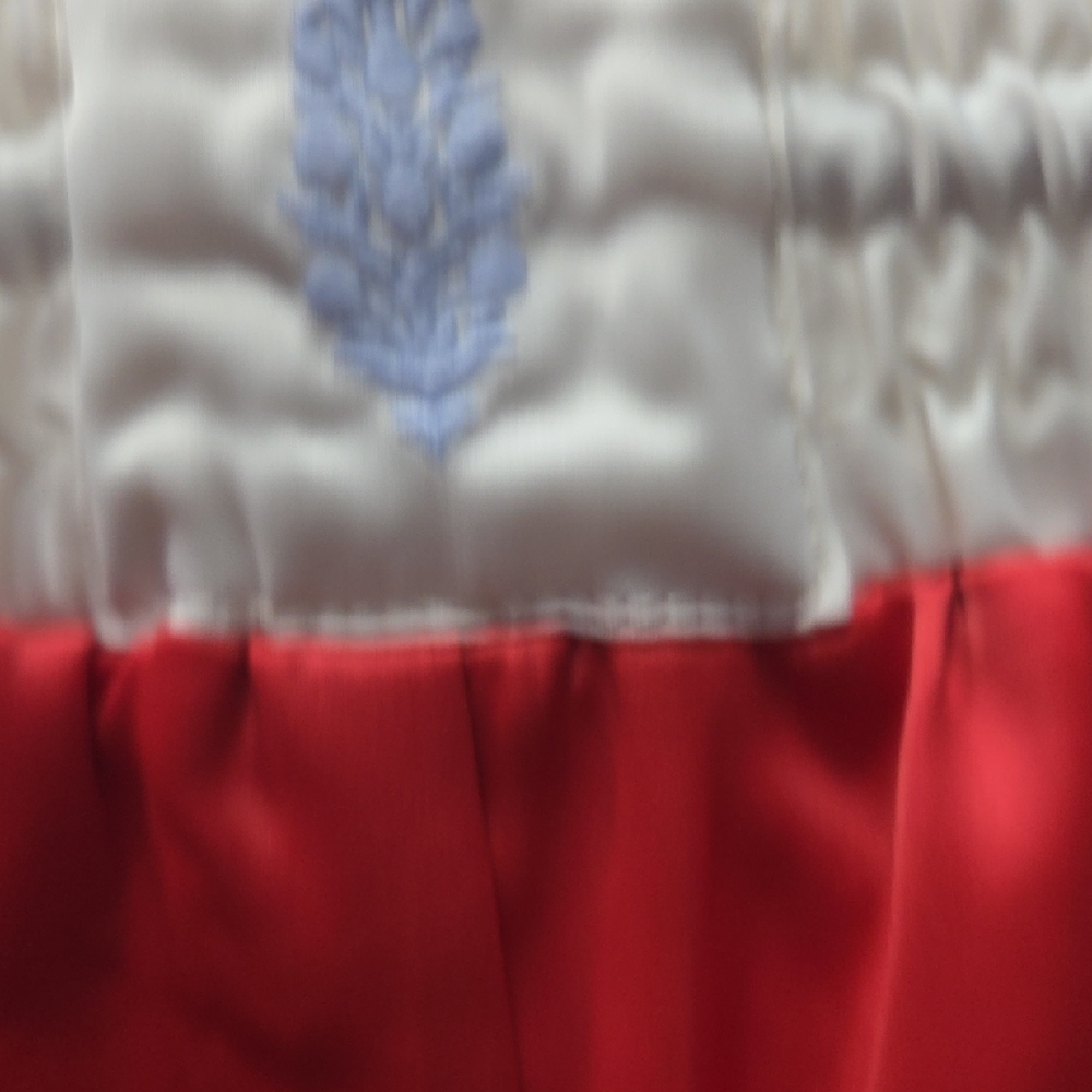 Free People Red and Cream Floral Panel Athletic Shorts - Picture 7 of 9